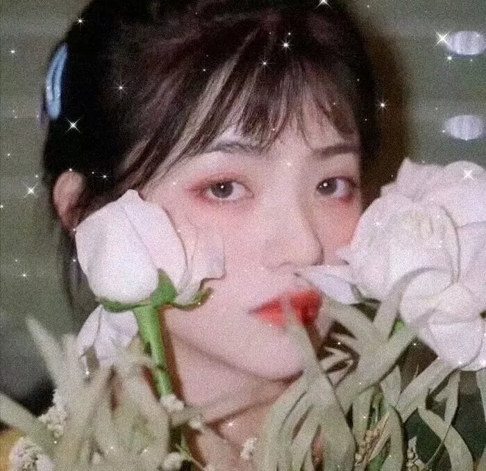 欲望阶梯